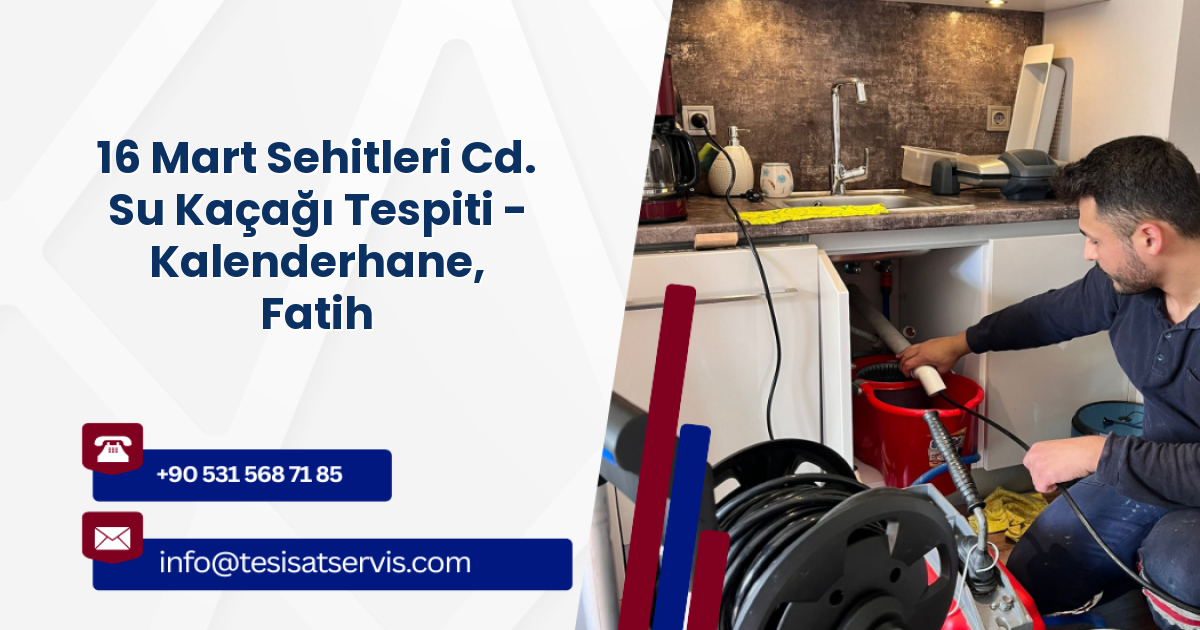 16 Mart Sehitleri Cd. Su Kaçağı Tespiti - Kalenderhane, Fatih