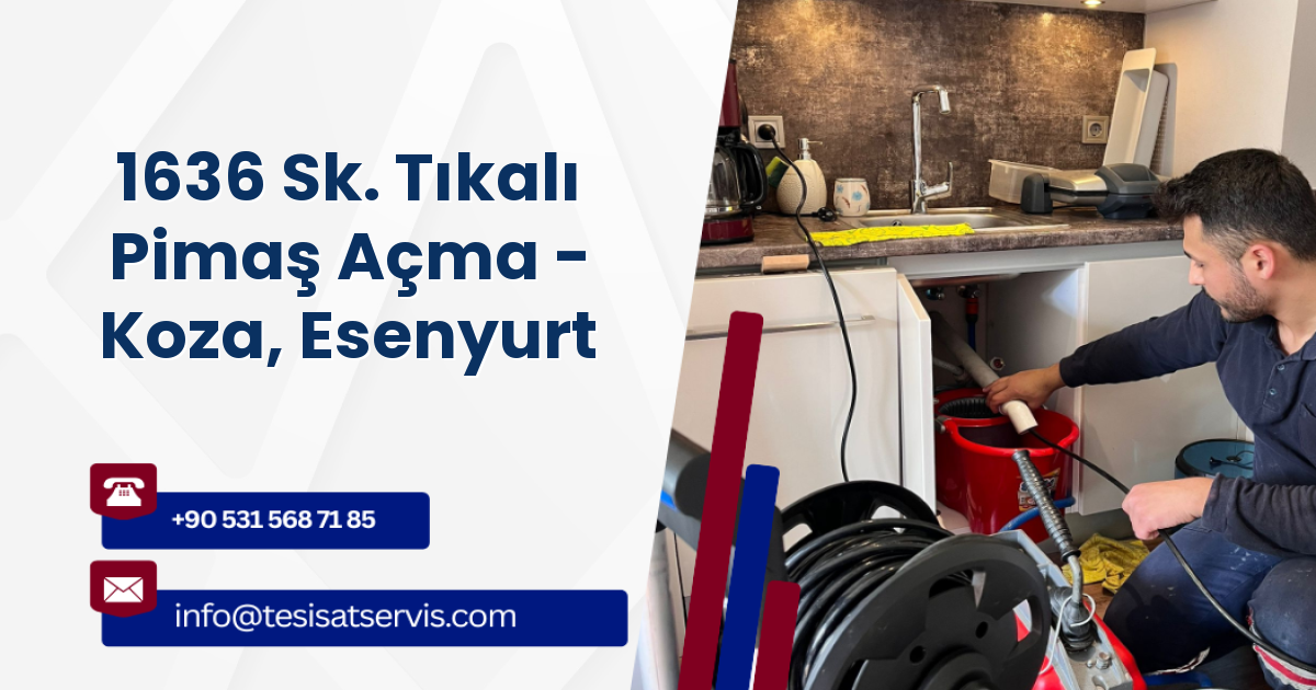 1636 Sk. Tıkalı Pimaş Açma - Koza, Esenyurt