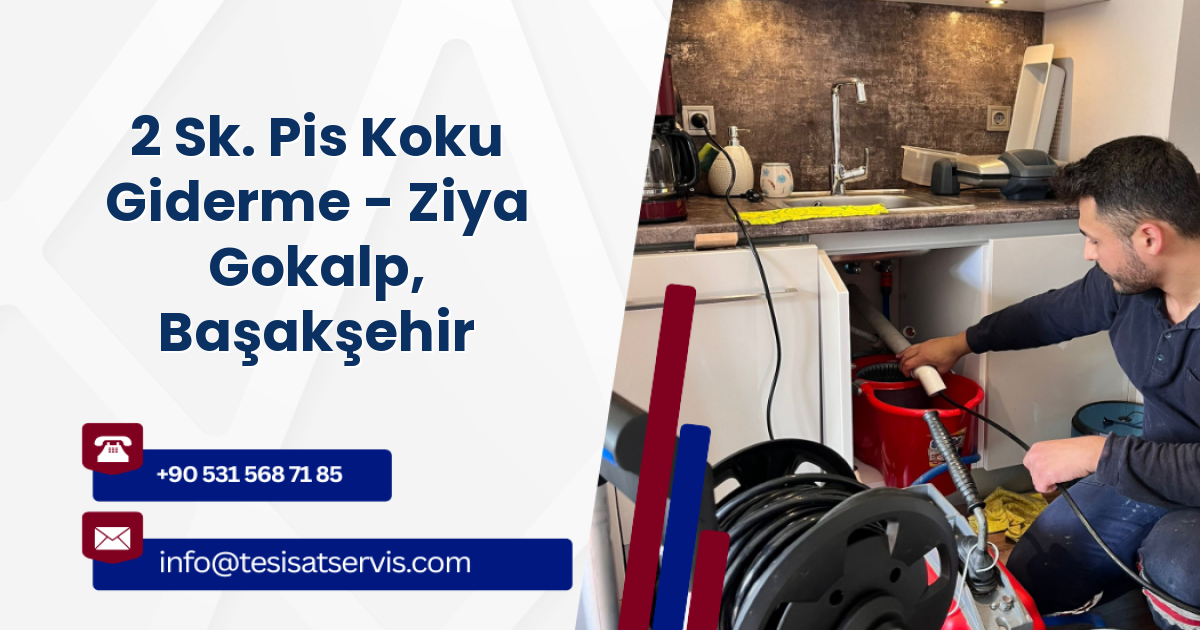 2 Sk. Pis Koku Giderme - Ziya Gokalp, Başakşehir