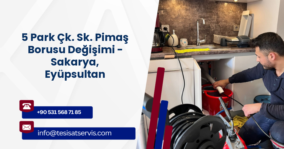 5 Park Çk. Sk. Pimaş Borusu Değişimi - Sakarya, Eyüpsultan