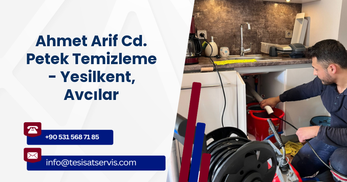 Ahmet Arif Cd. Petek Temizleme - Yesilkent, Avcılar