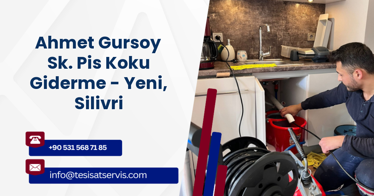 Ahmet Gursoy Sk. Pis Koku Giderme - Yeni, Silivri