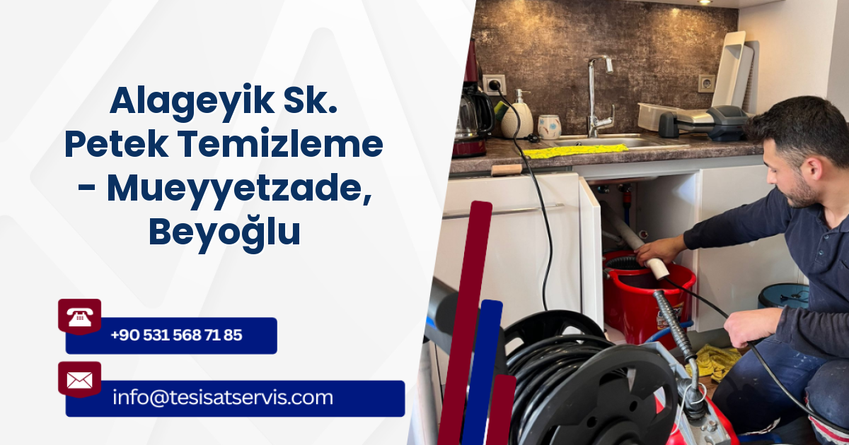 Alageyik Sk. Petek Temizleme - Mueyyetzade, Beyoğlu