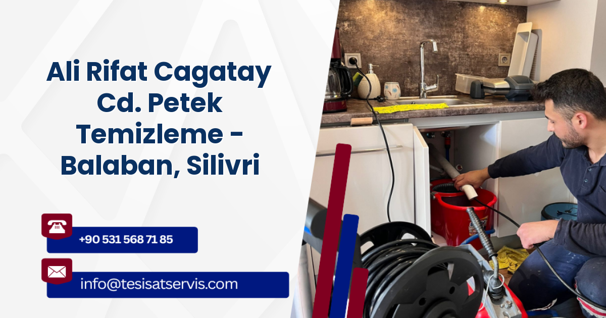 Ali Rifat Cagatay Cd. Petek Temizleme - Balaban, Silivri
