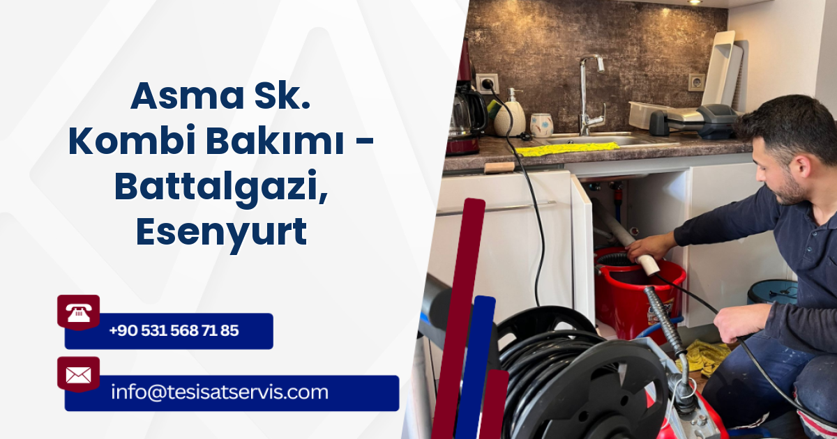 Asma Sk. Kombi Bakımı - Battalgazi, Esenyurt