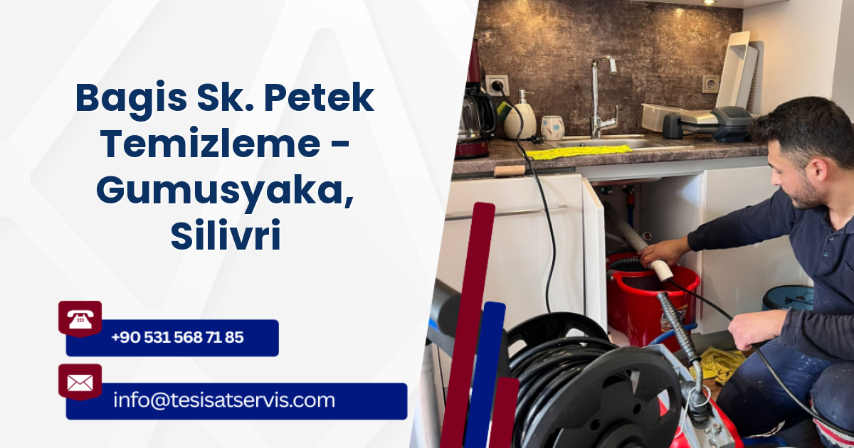Bagis Sk. Petek Temizleme - Gumusyaka, Silivri