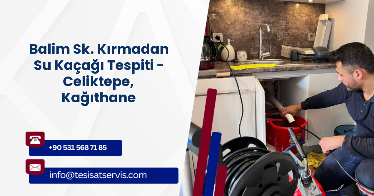 Balim Sk. Kırmadan Su Kaçağı Tespiti - Celiktepe, Kağıthane