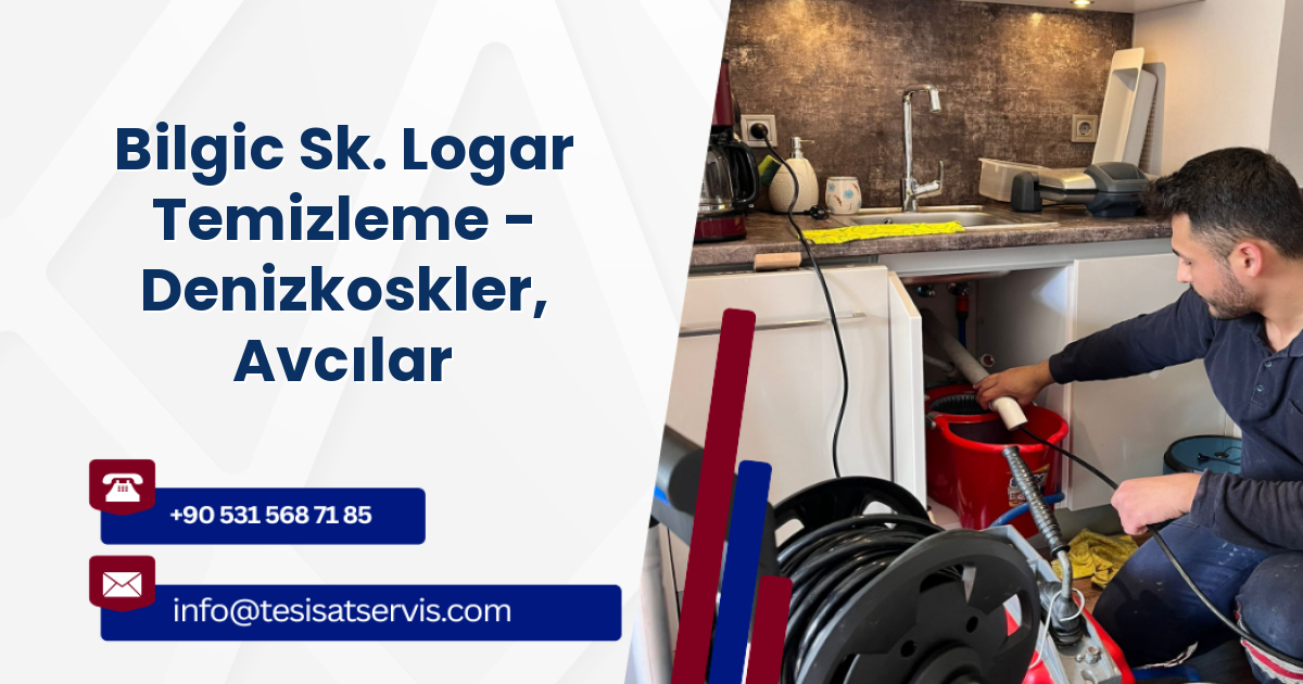 Bilgic Sk. Logar Temizleme - Denizkoskler, Avcılar