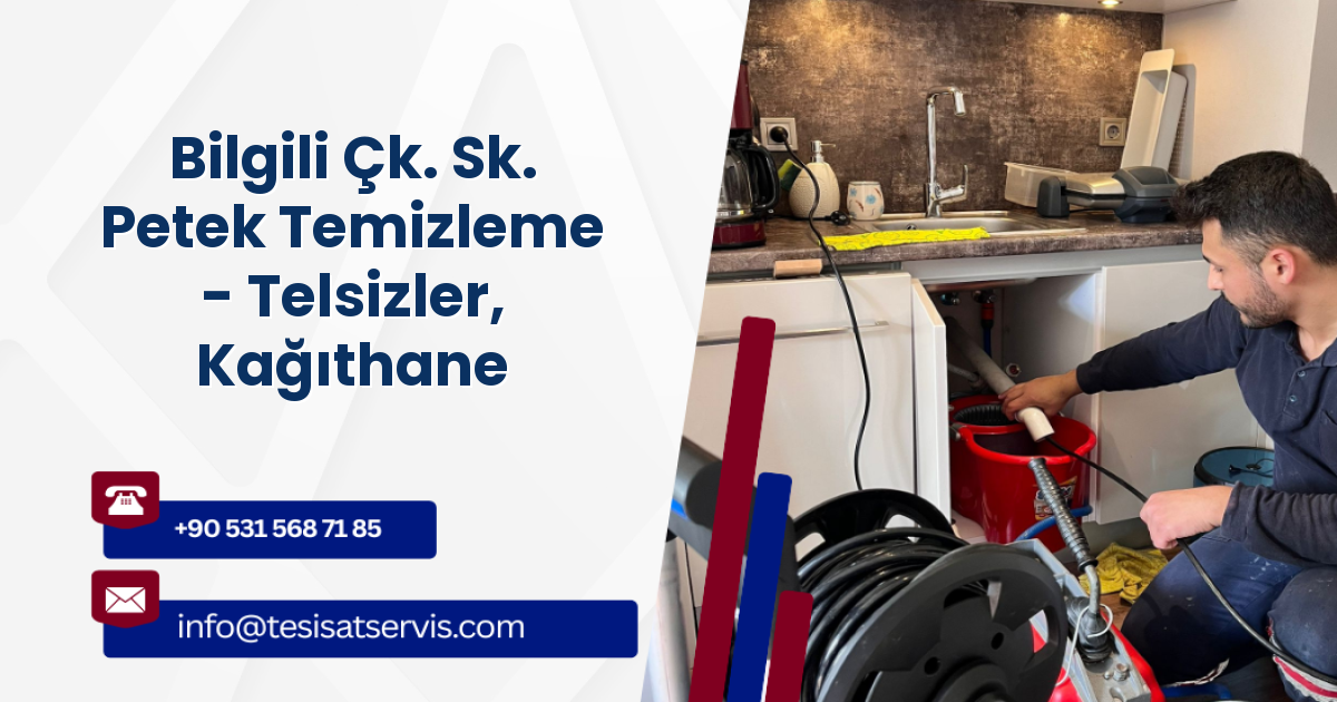 Bilgili Çk. Sk. Petek Temizleme - Telsizler, Kağıthane