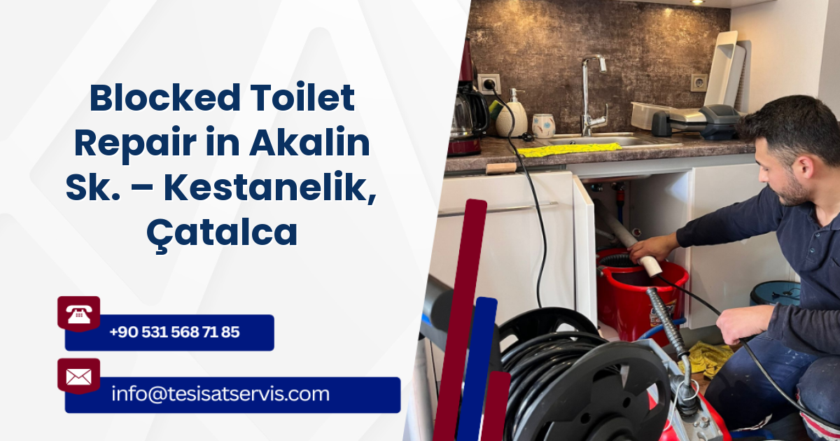 Blocked Toilet Repair in Akalin Sk. – Kestanelik, Çatalca