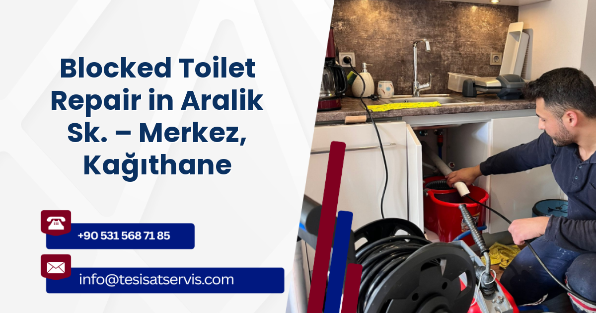Blocked Toilet Repair in Aralik Sk. – Merkez, Kağıthane