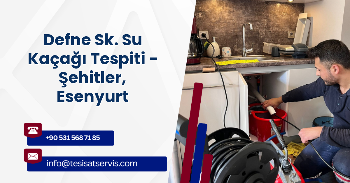 Defne Sk. Su Kaçağı Tespiti - Şehitler, Esenyurt