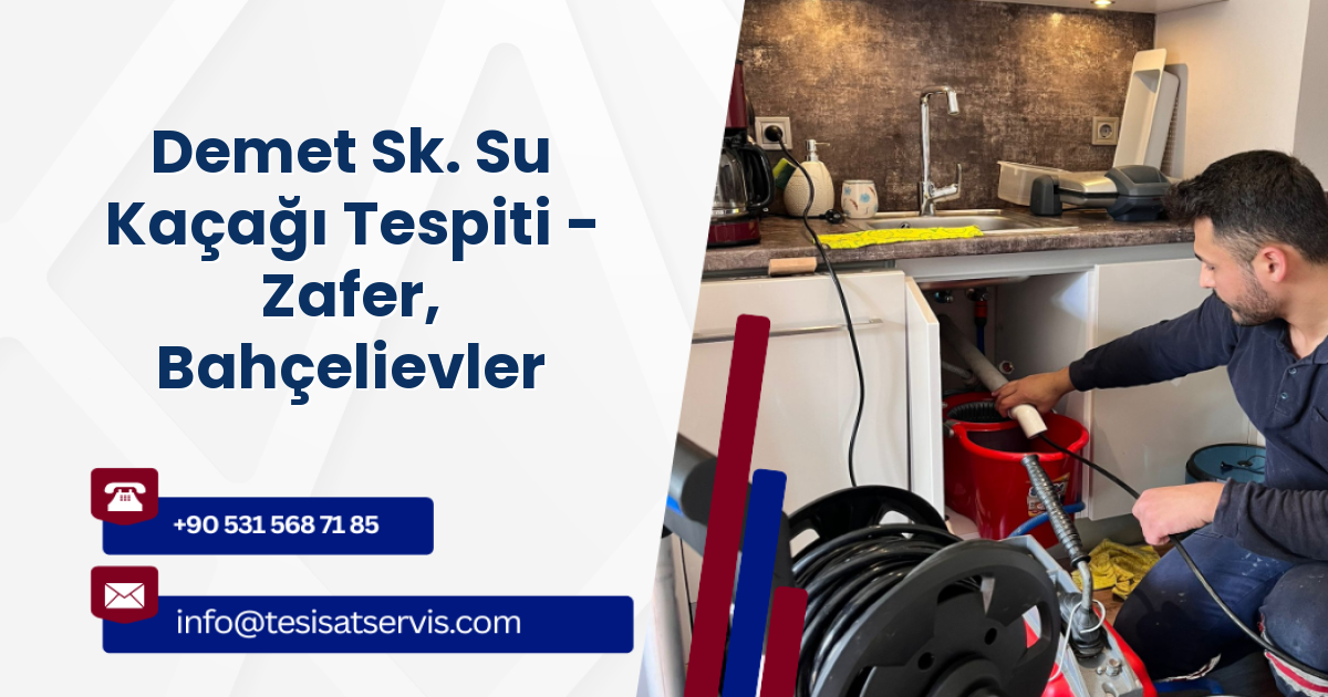 Demet Sk. Su Kaçağı Tespiti - Zafer, Bahçelievler