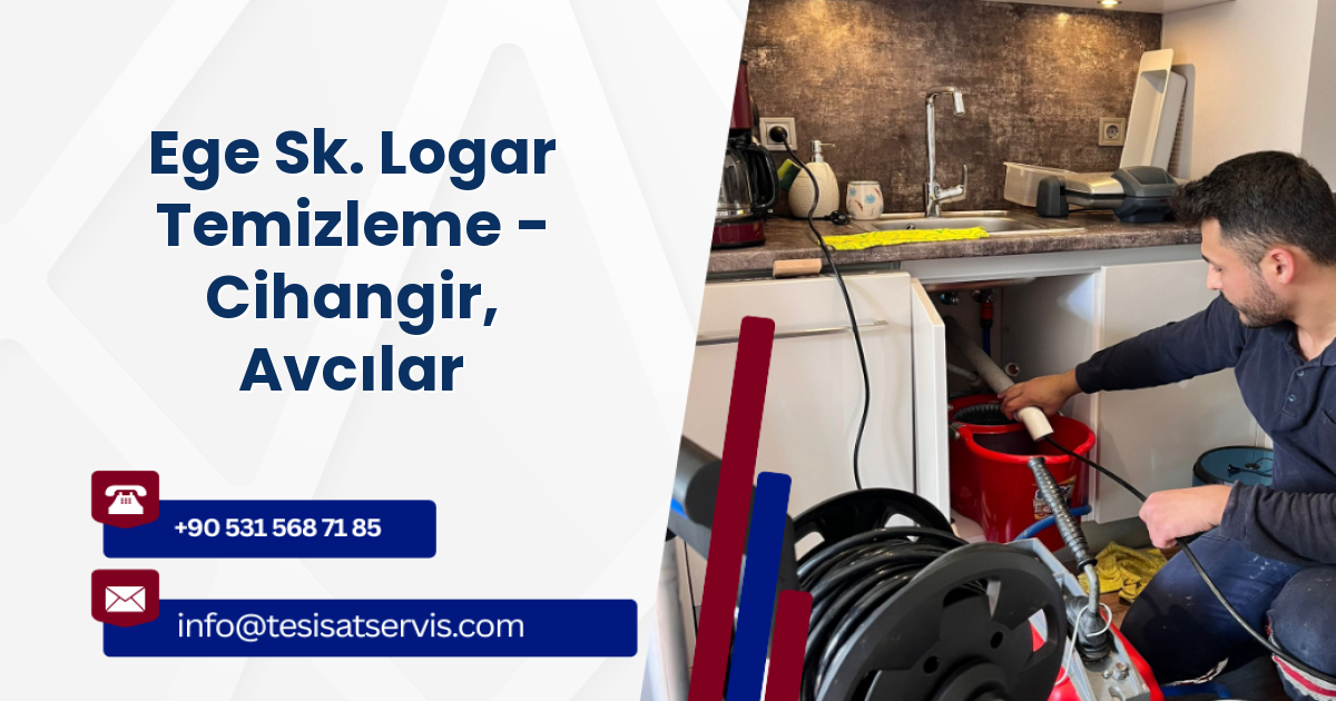 Ege Sk. Logar Temizleme - Cihangir, Avcılar