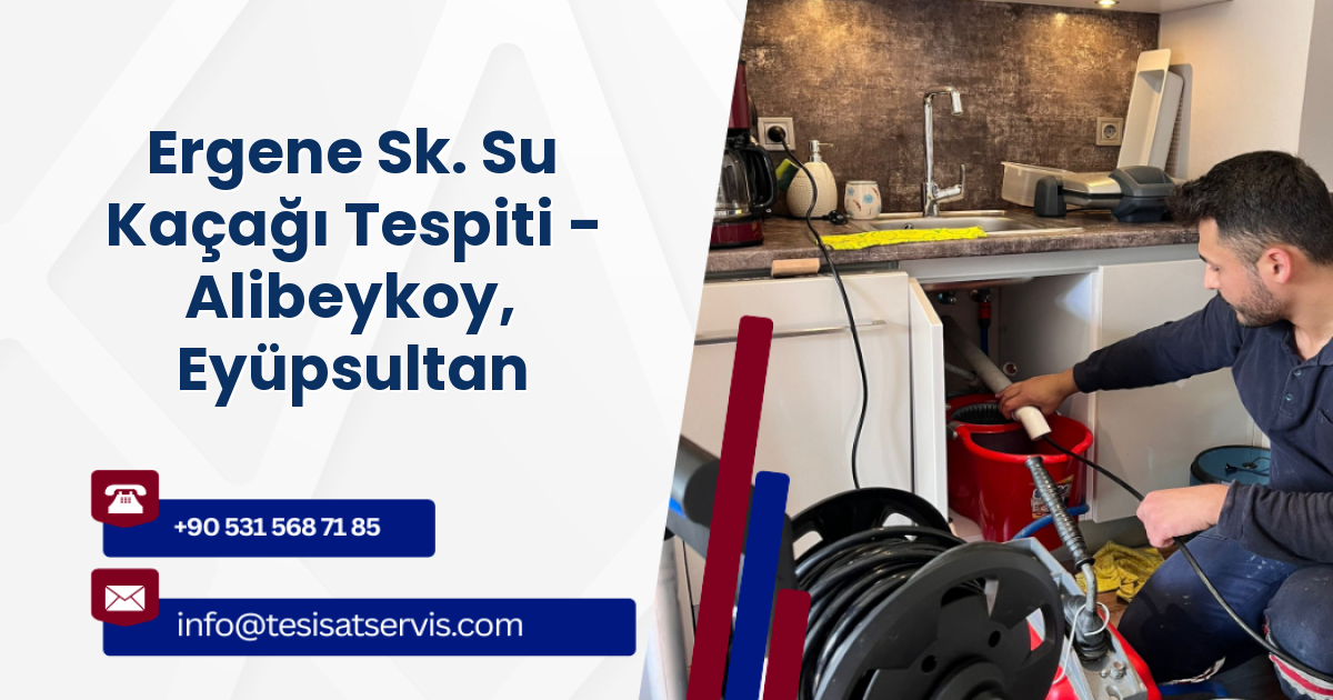 Ergene Sk. Su Kaçağı Tespiti - Alibeykoy, Eyüpsultan