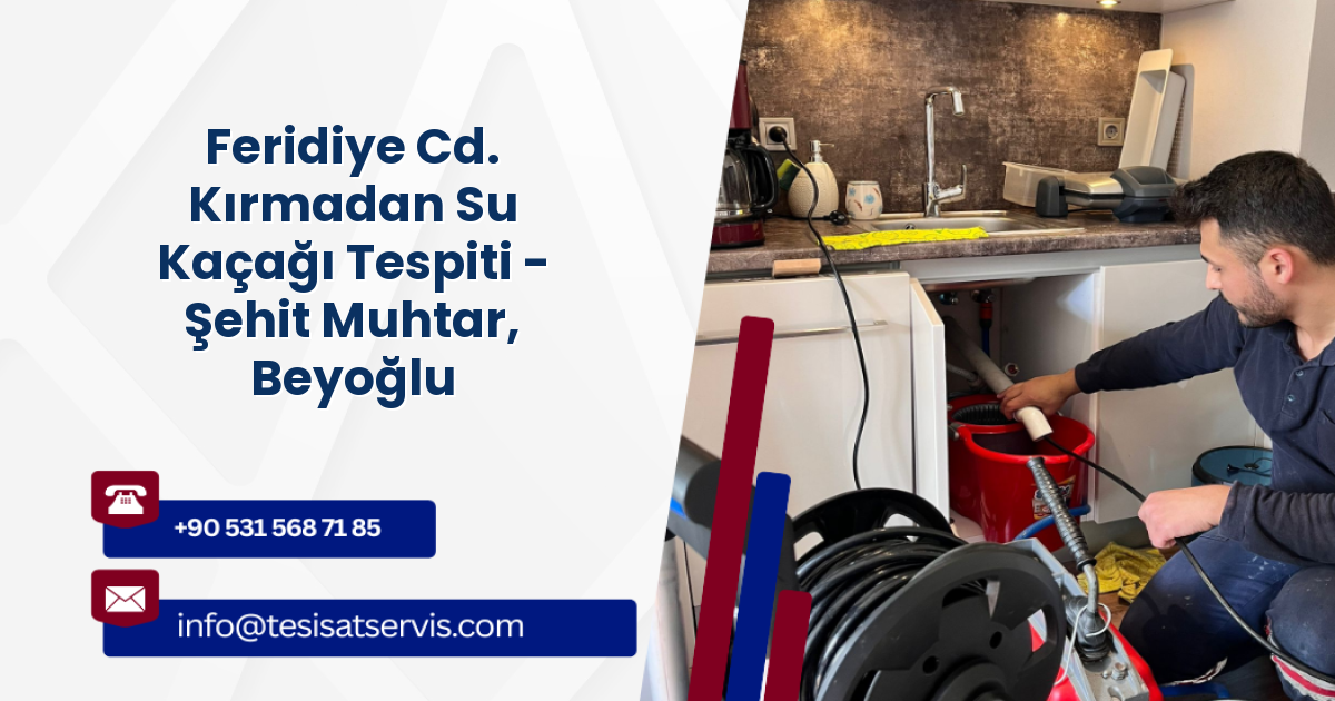 Feridiye Cd. Kırmadan Su Kaçağı Tespiti - Şehit Muhtar, Beyoğlu