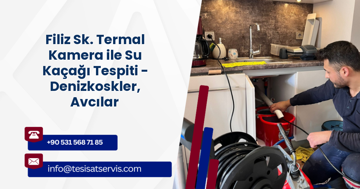 Filiz Sk. Termal Kamera ile Su Kaçağı Tespiti - Denizkoskler, Avcılar
