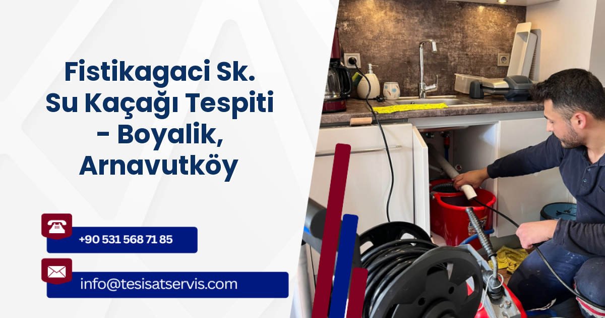 Fistikagaci Sk. Su Kaçağı Tespiti - Boyalik, Arnavutköy