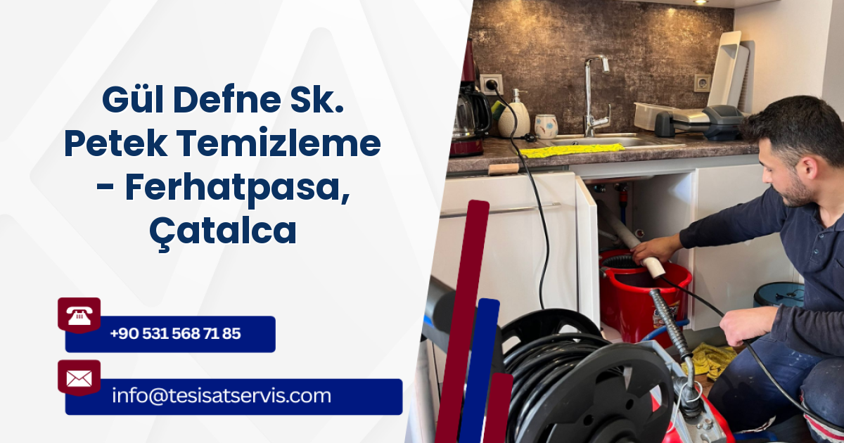 Gül Defne Sk. Petek Temizleme - Ferhatpasa, Çatalca