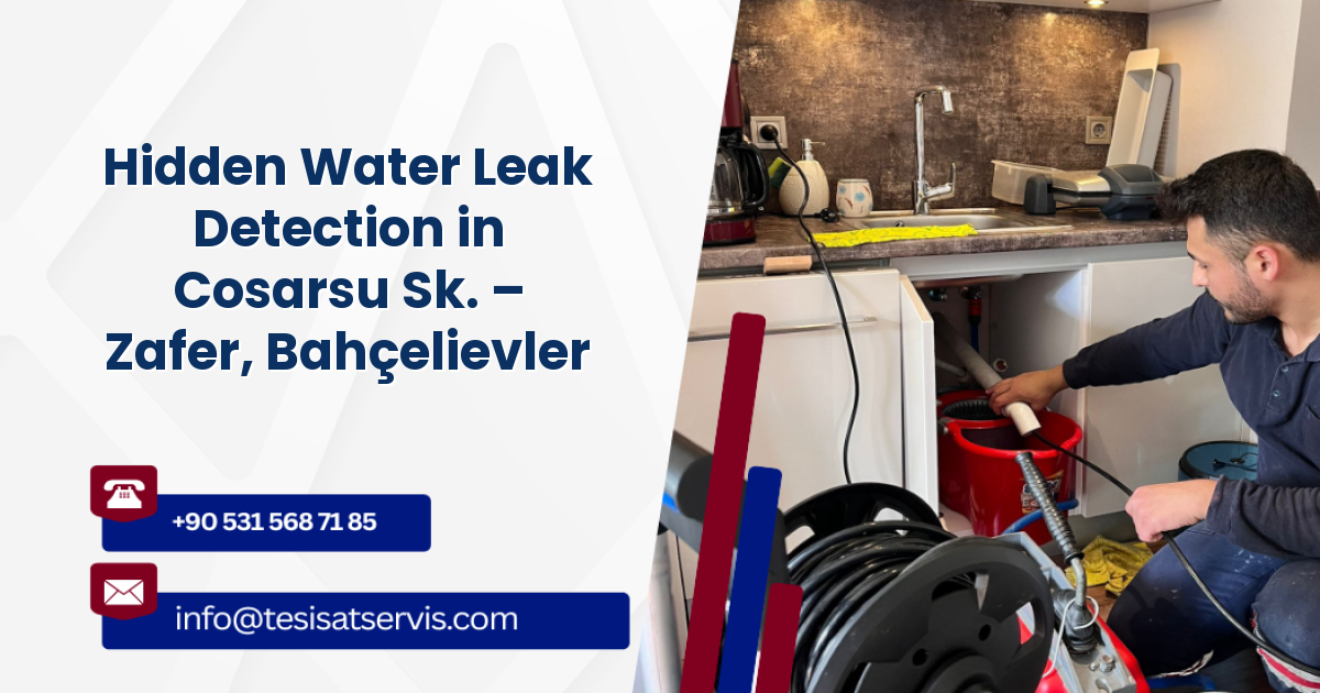 Hidden Water Leak Detection in Cosarsu Sk. – Zafer, Bahçelievler