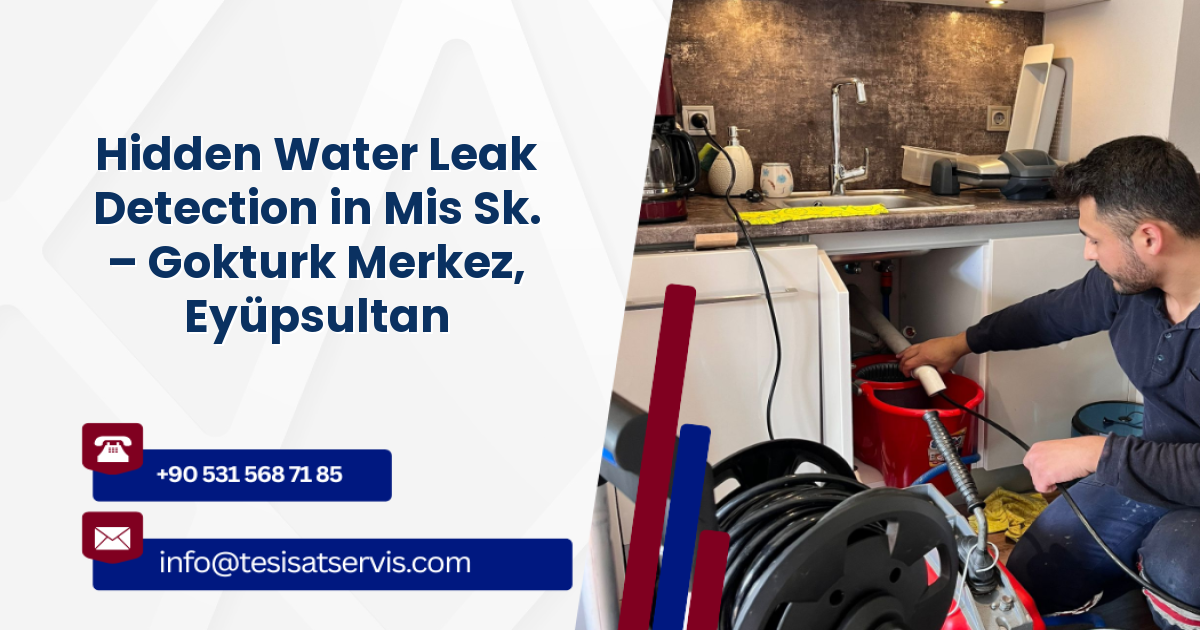 Hidden Water Leak Detection in Mis Sk. – Gokturk Merkez, Eyüpsultan