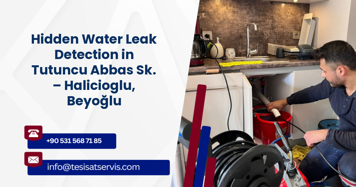 Hidden Water Leak Detection in Tutuncu Abbas Sk. – Halicioglu, Beyoğlu