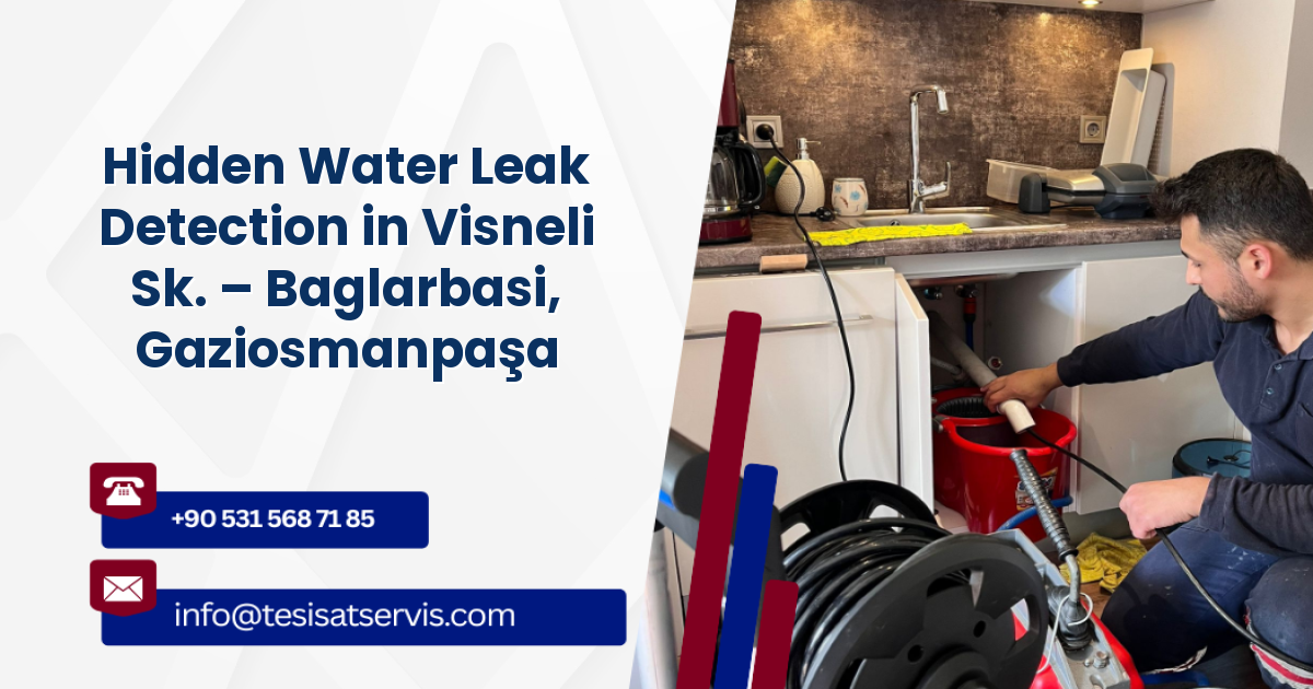Hidden Water Leak Detection in Visneli Sk. – Baglarbasi, Gaziosmanpaşa