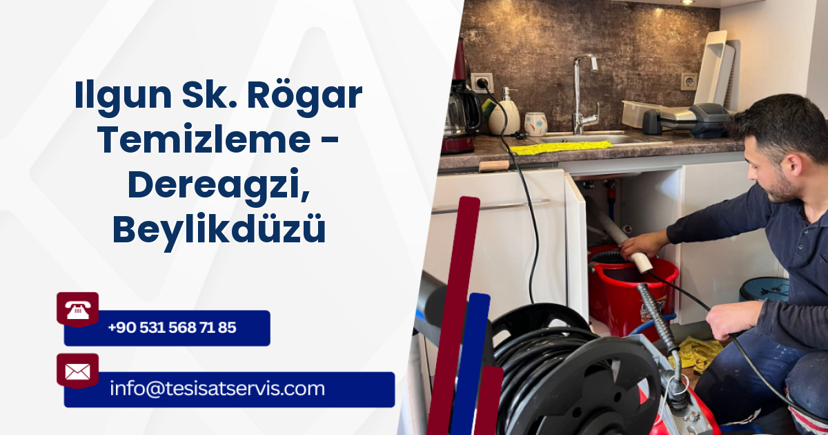 Ilgun Sk. Rögar Temizleme - Dereagzi, Beylikdüzü