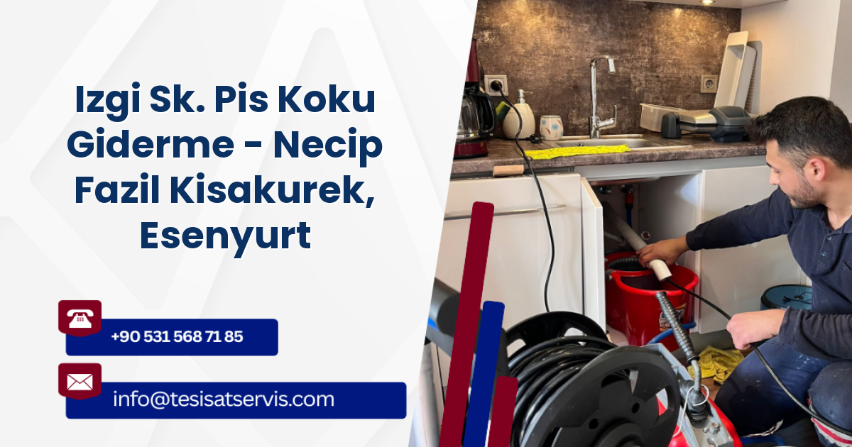 Izgi Sk. Pis Koku Giderme - Necip Fazil Kisakurek, Esenyurt