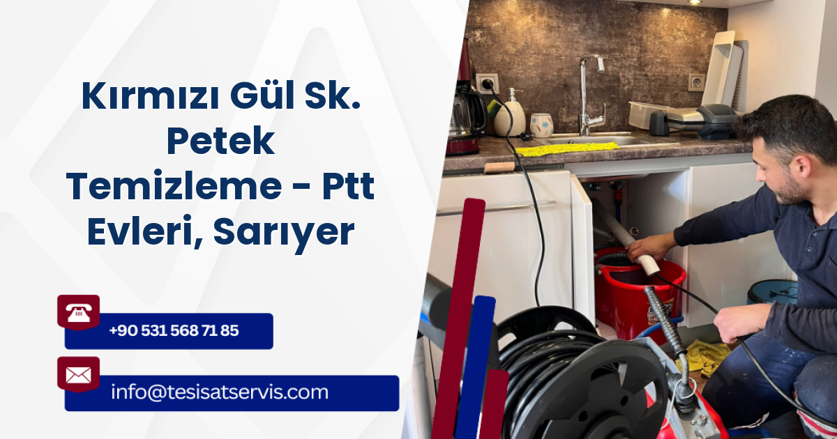 Kırmızı Gül Sk. Petek Temizleme - Ptt Evleri, Sarıyer