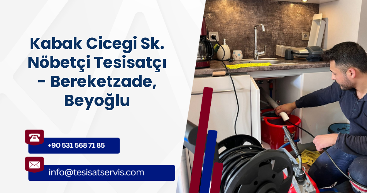Kabak Cicegi Sk. Nöbetçi Tesisatçı - Bereketzade, Beyoğlu