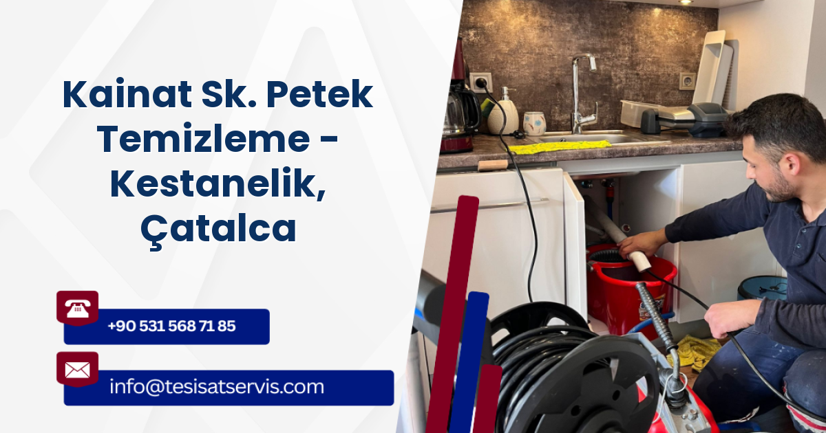 Kainat Sk. Petek Temizleme - Kestanelik, Çatalca