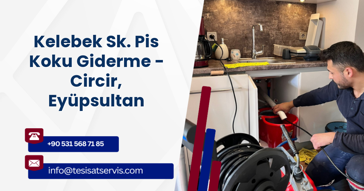 Kelebek Sk. Pis Koku Giderme - Circir, Eyüpsultan