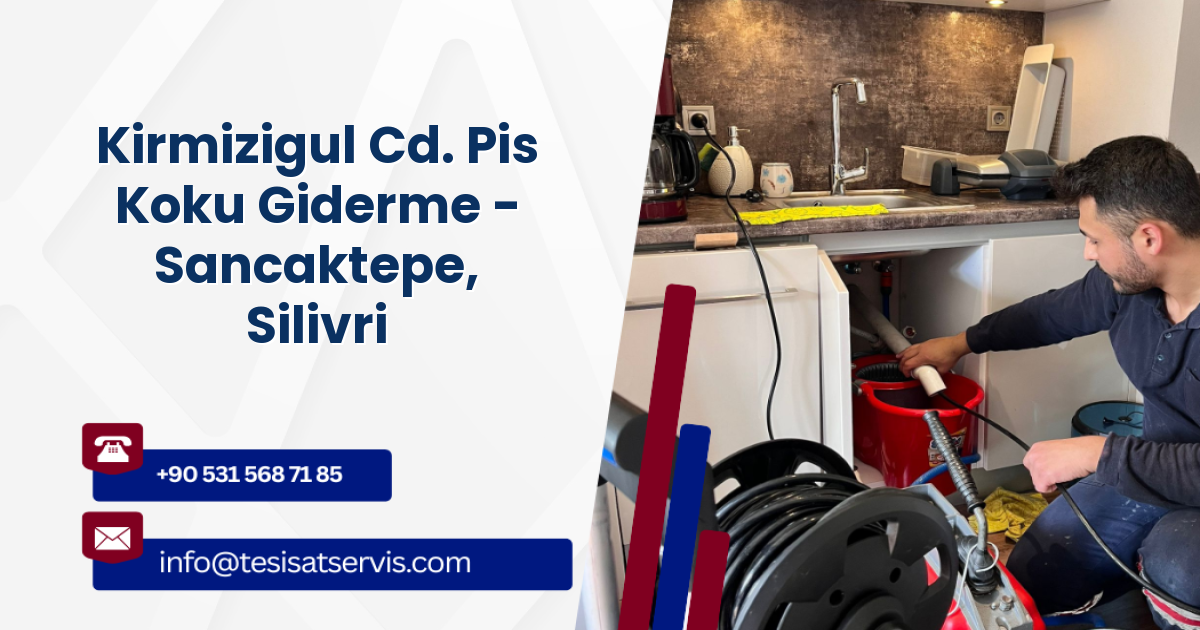 Kirmizigul Cd. Pis Koku Giderme - Sancaktepe, Silivri