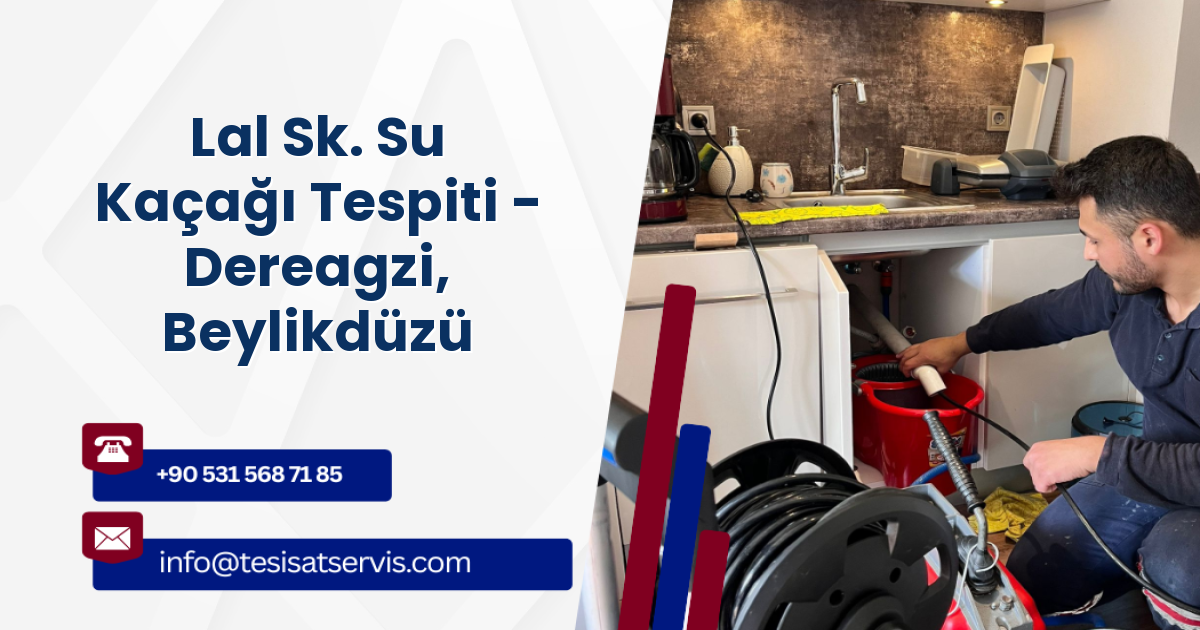 Lal Sk. Su Kaçağı Tespiti - Dereagzi, Beylikdüzü