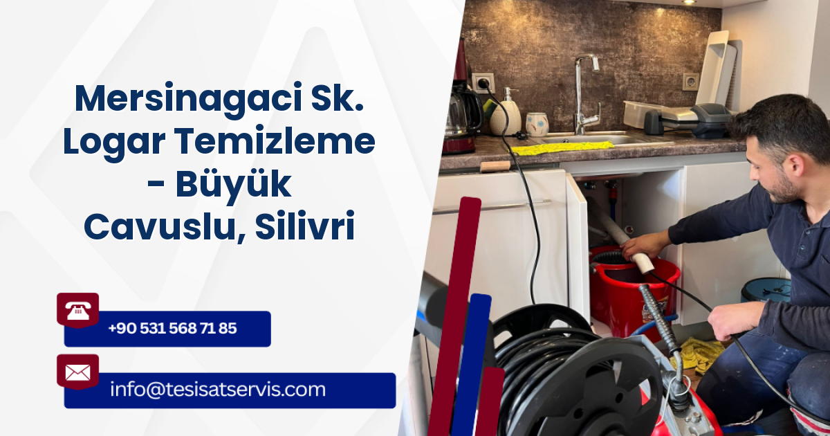 Mersinagaci Sk. Logar Temizleme - Büyük Cavuslu, Silivri