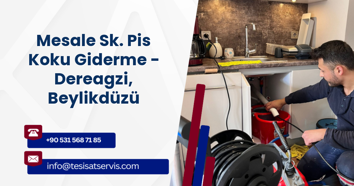 Mesale Sk. Pis Koku Giderme - Dereagzi, Beylikdüzü