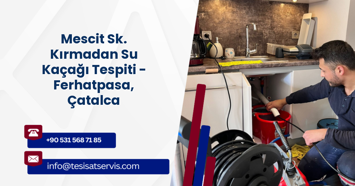 Mescit Sk. Kırmadan Su Kaçağı Tespiti - Ferhatpasa, Çatalca