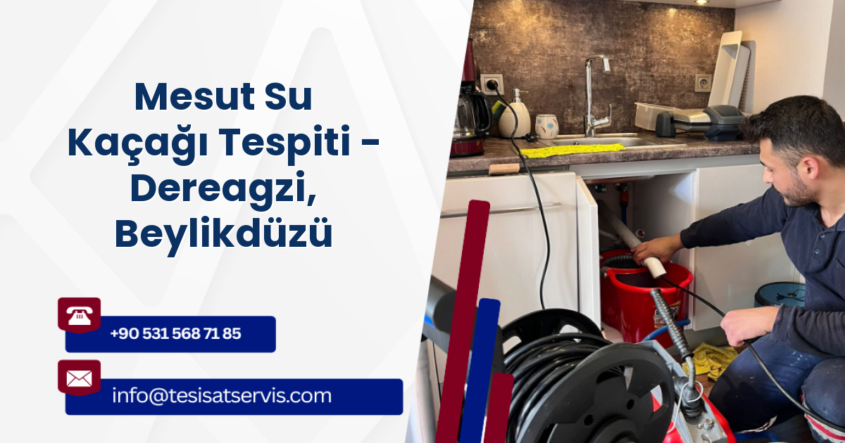 Mesut Su Kaçağı Tespiti - Dereagzi, Beylikdüzü