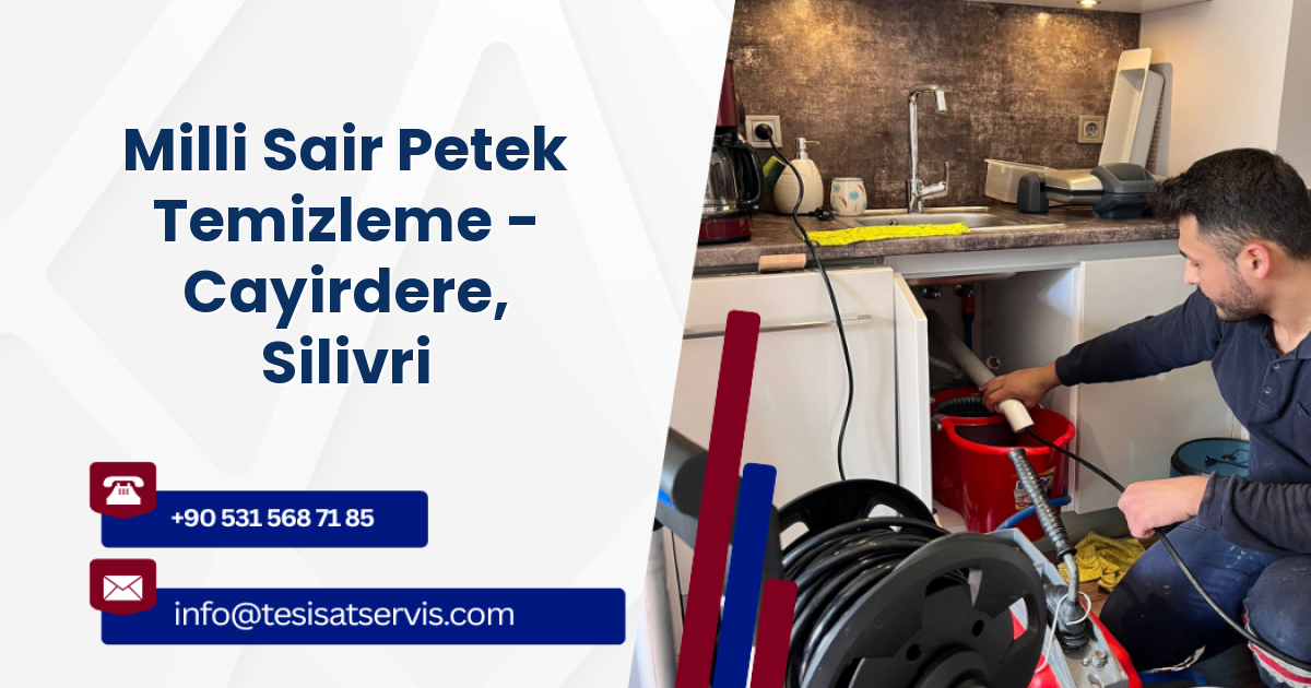 Milli Sair Petek Temizleme - Cayirdere, Silivri
