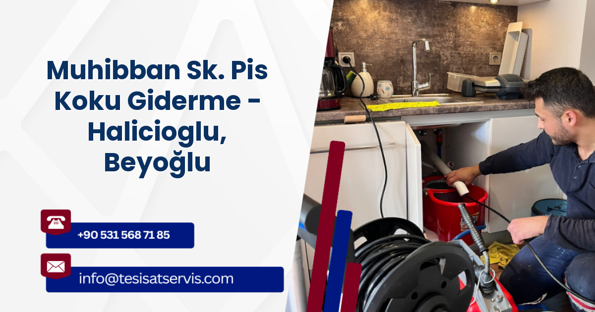 Muhibban Sk. Pis Koku Giderme - Halicioglu, Beyoğlu