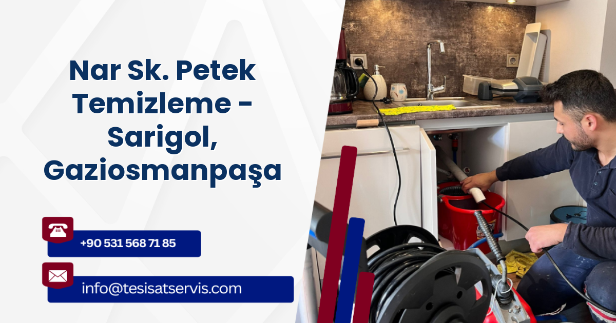 Nar Sk. Petek Temizleme - Sarigol, Gaziosmanpaşa