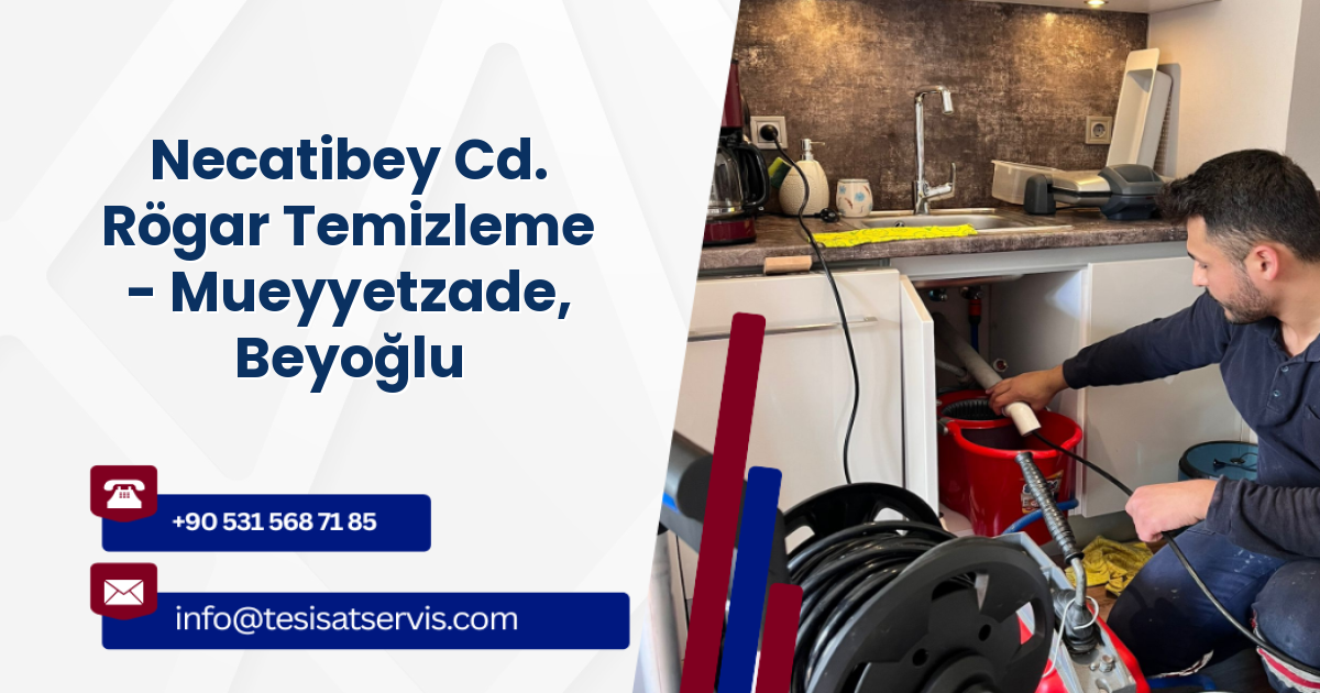 Necatibey Cd. Rögar Temizleme - Mueyyetzade, Beyoğlu