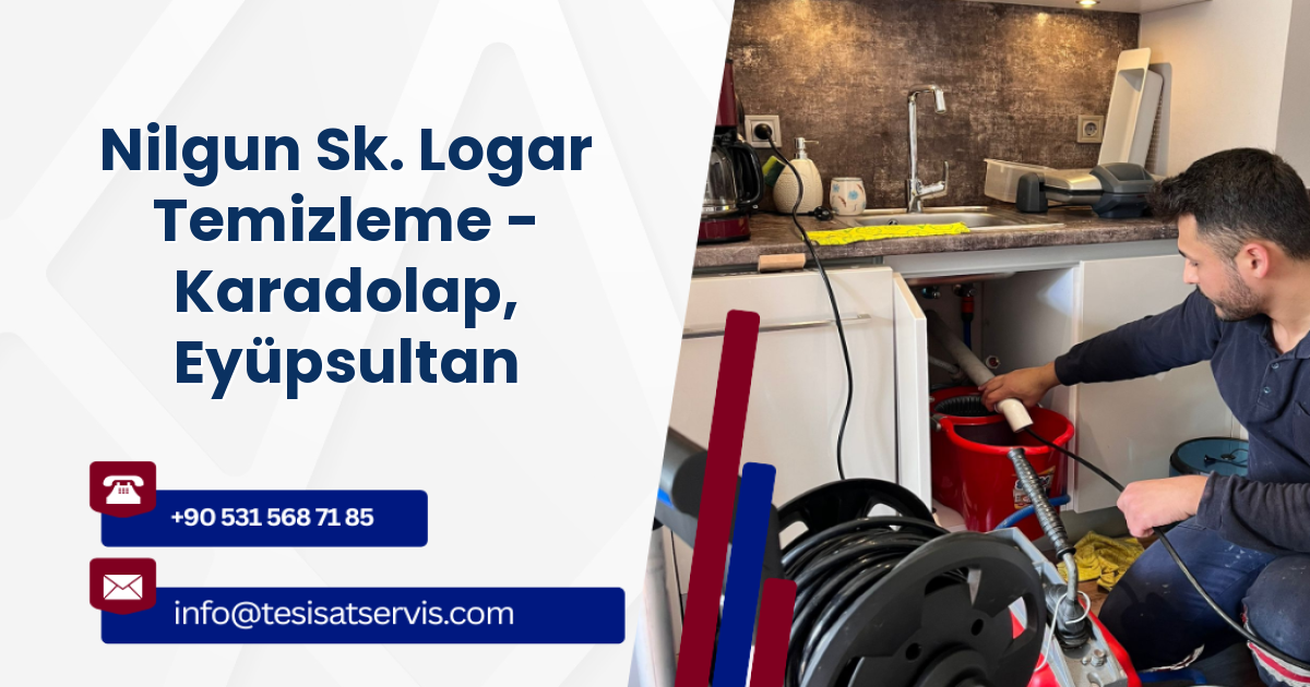 Nilgun Sk. Logar Temizleme - Karadolap, Eyüpsultan