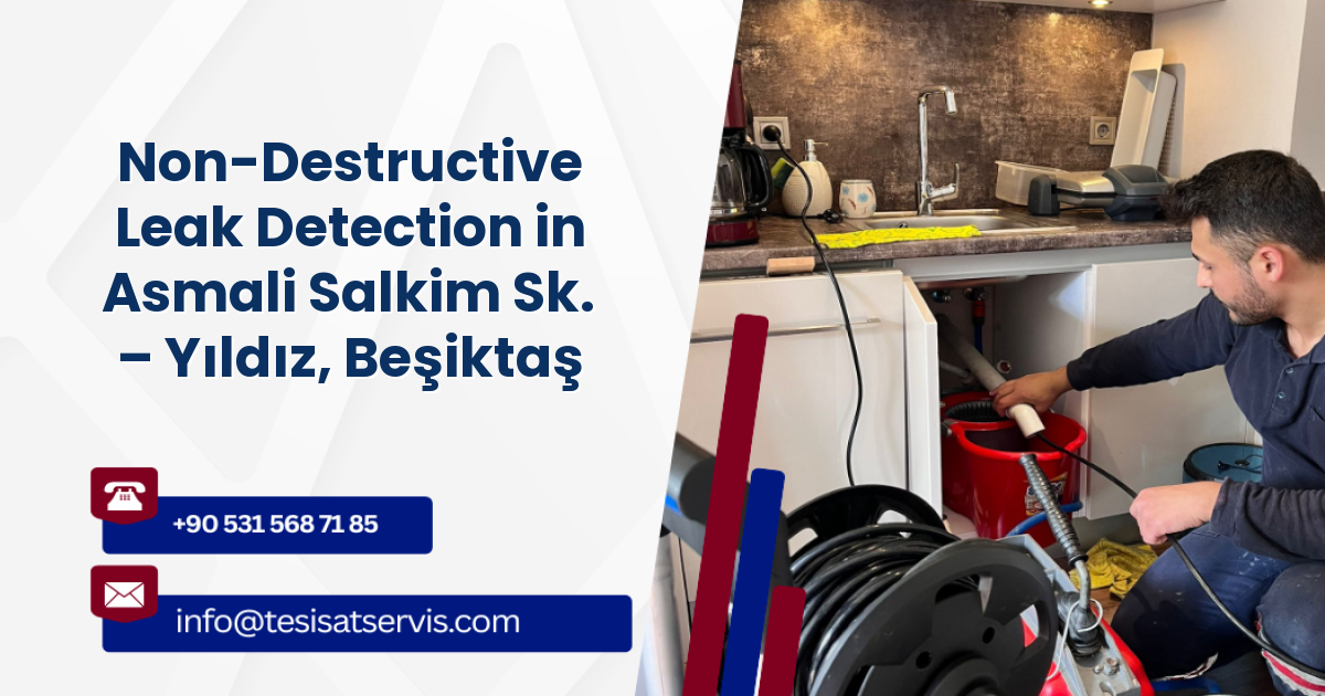 Non-Destructive Leak Detection in Asmali Salkim Sk. – Yıldız, Beşiktaş