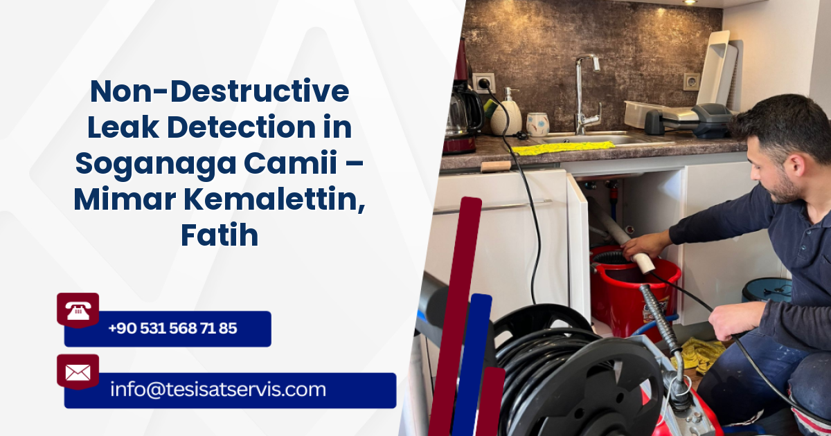 Non-Destructive Leak Detection in Soganaga Camii – Mimar Kemalettin, Fatih