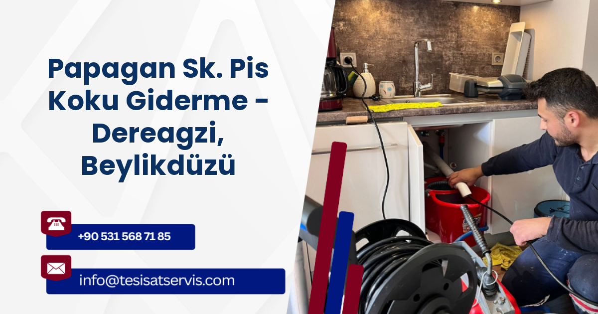 Papagan Sk. Pis Koku Giderme - Dereagzi, Beylikdüzü