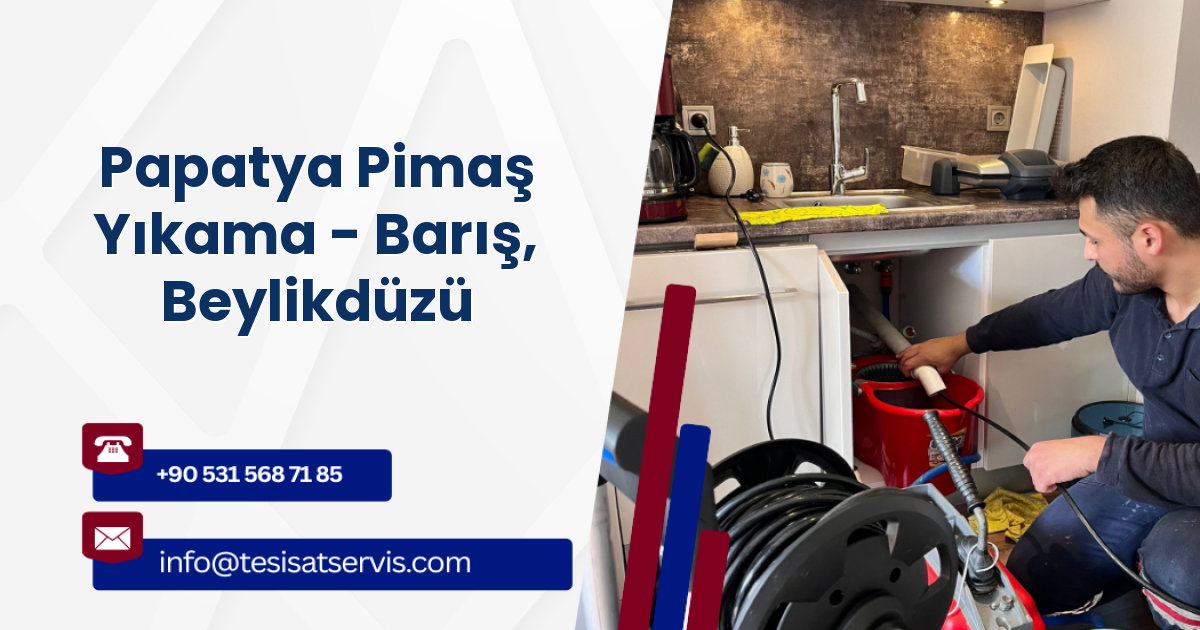 Papatya Pimaş Yıkama - Barış, Beylikdüzü