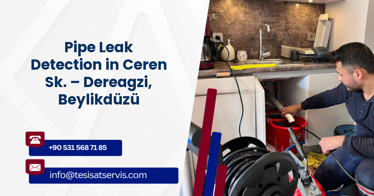 Pipe Leak Detection in Ceren Sk. – Dereagzi, Beylikdüzü