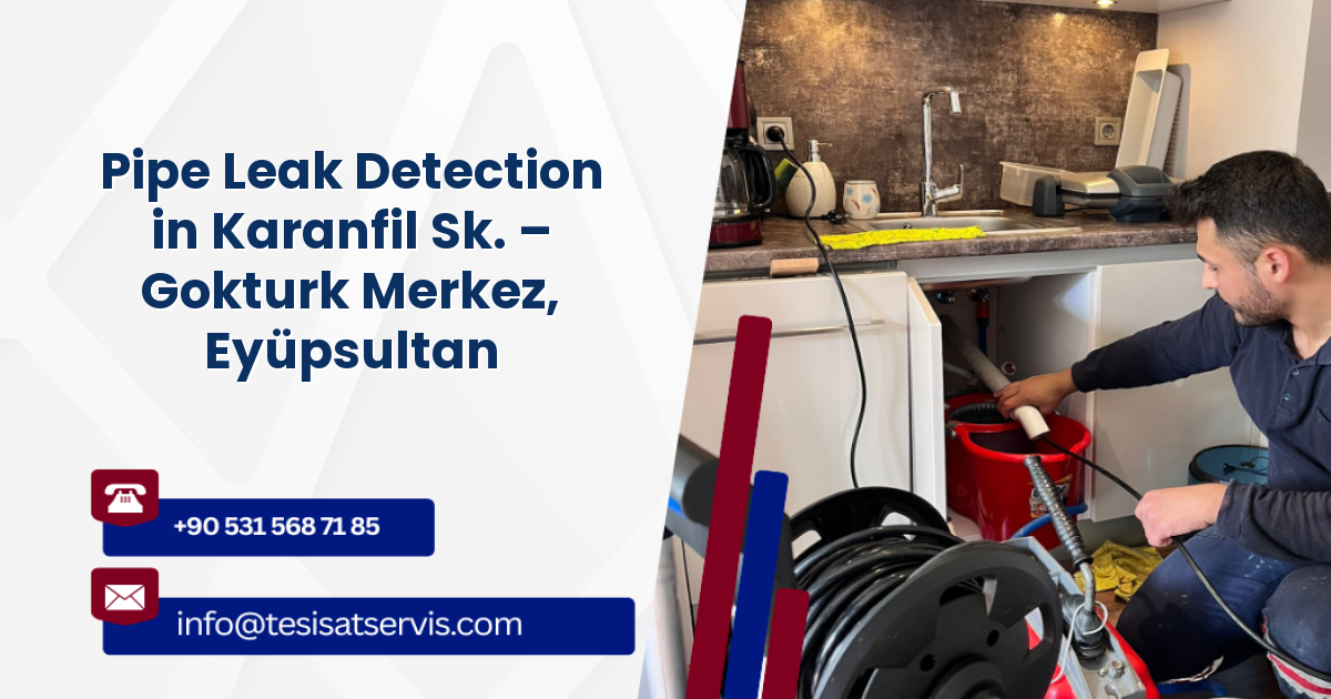 Pipe Leak Detection in Karanfil Sk. – Gokturk Merkez, Eyüpsultan